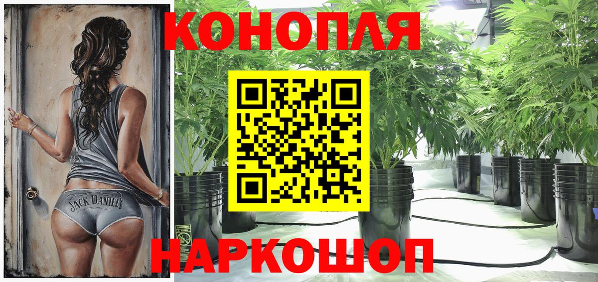 Конопля White Widow  Вход с VPN  МАРИХУАНА сатива  Златоуст  Шишки марихуана тримм 
